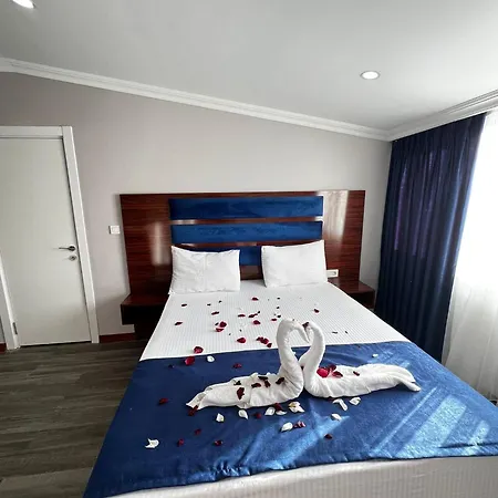 Lion King اسطنبول