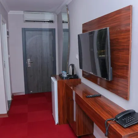 Lion King اسطنبول